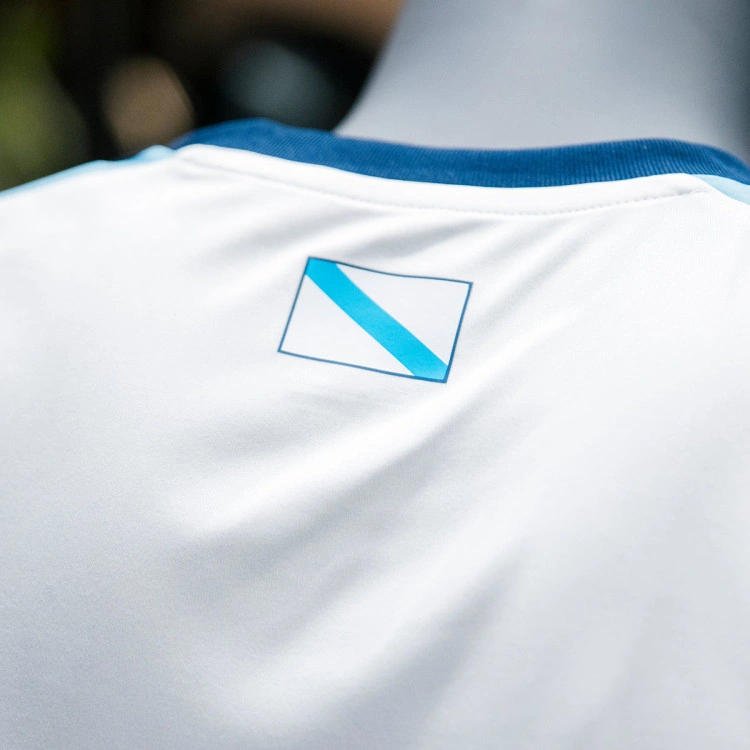 camiseta-adidas-rfgf-1-equipacion-nino-aficion-real-federacion-galega-de-futbol-white-team-light-blue-2