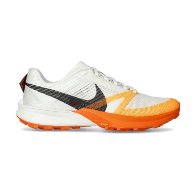 Chaussures Terra Kiger 10