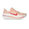 Chaussures Nike Femme Winflo 12