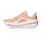 Chaussures Nike Femme Winflo 12