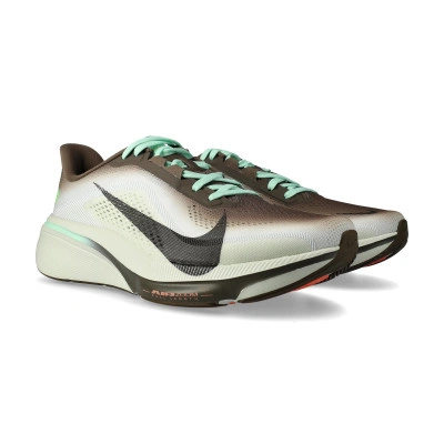 Chaussures Pegasus 42