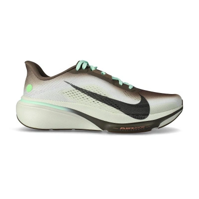 Chaussures Pegasus 42