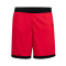 Short Nike Team 25