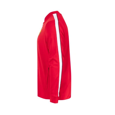 Veste RCD Mallorca Paseo Joueur 2026-2027