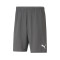 Short Puma teamRISE Milan Academy World