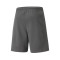 Short Puma teamRISE Milan Academy World