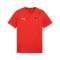 T-Shirt Puma teamGOAL Cotton Milan Academy World