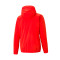 Imperméable Puma teamRISE Milan Academy World