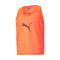Chasuble Puma teamLIGA Milan Academy World