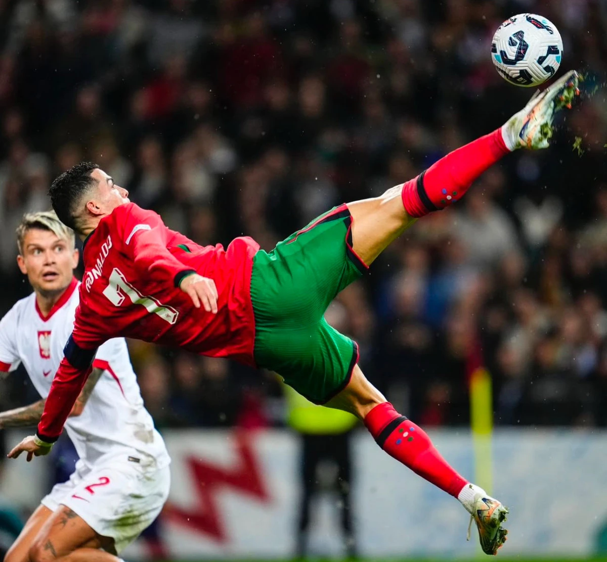 post card img2153jpg47.webp