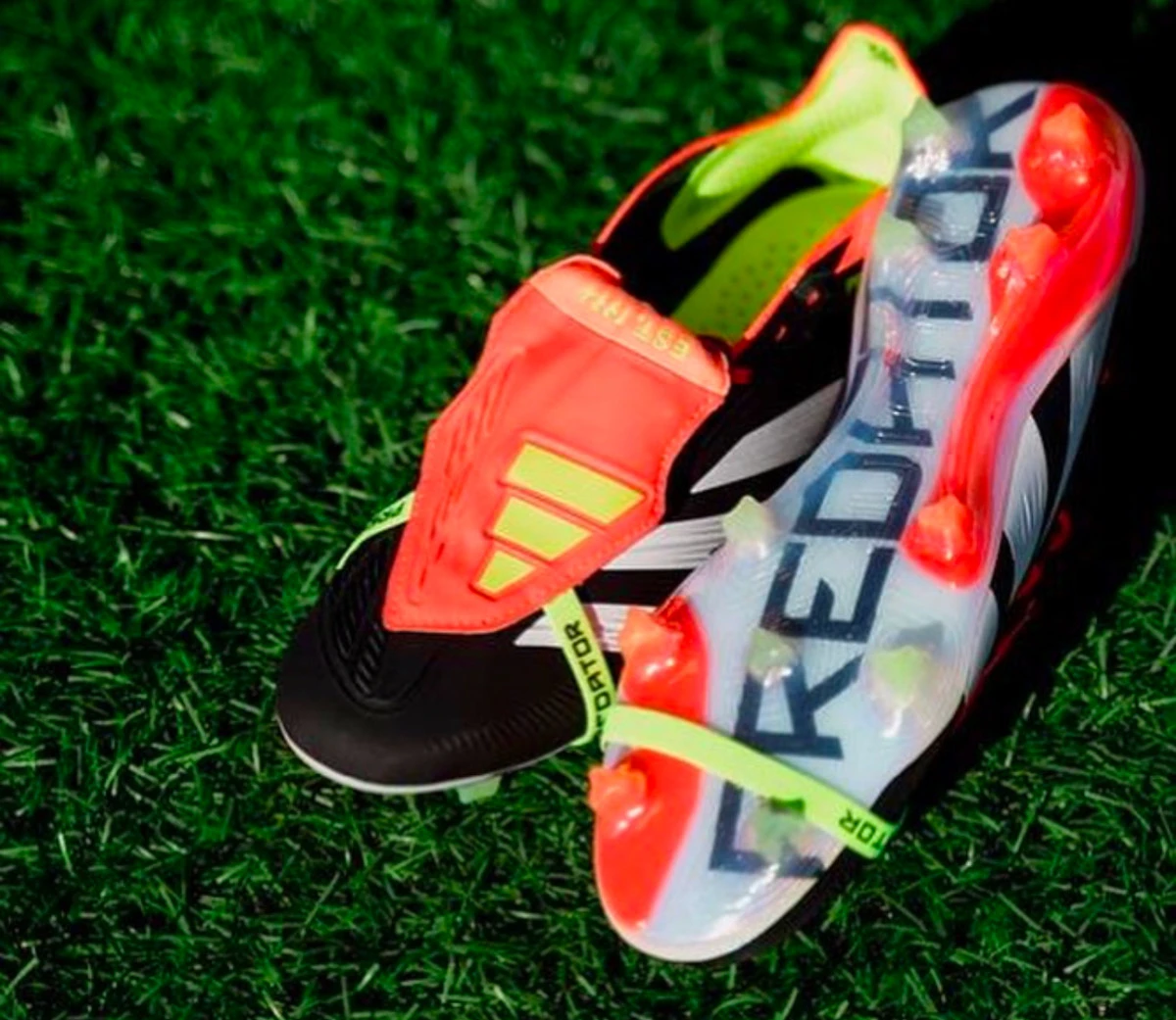 post card img2032jpg51.webp