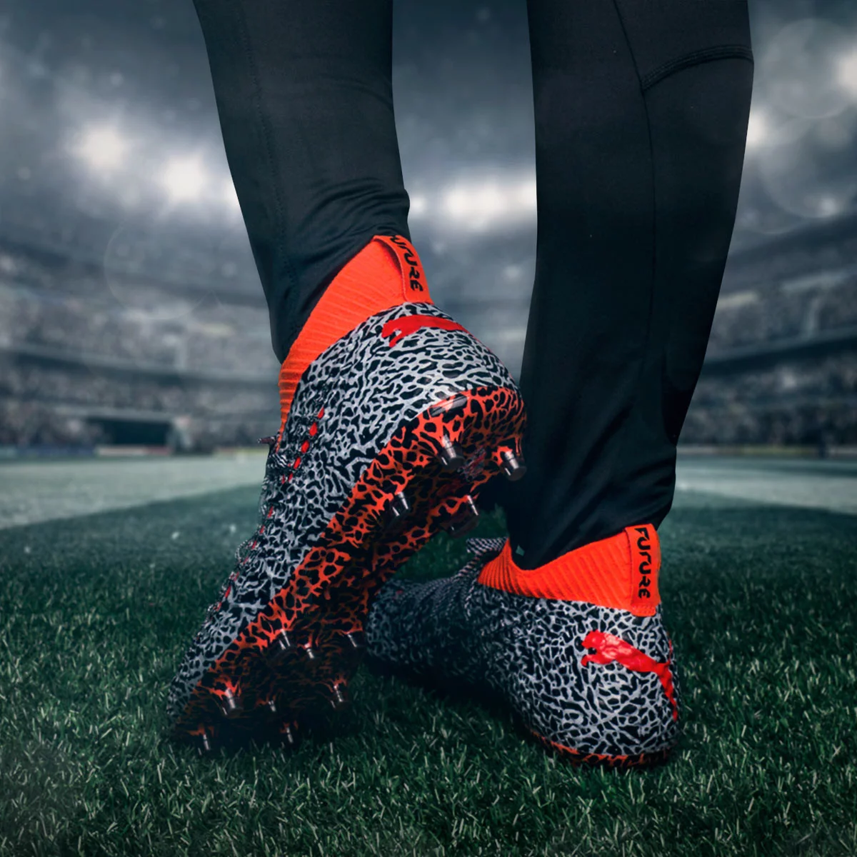 post card Post-Puma-Safari-2.webp