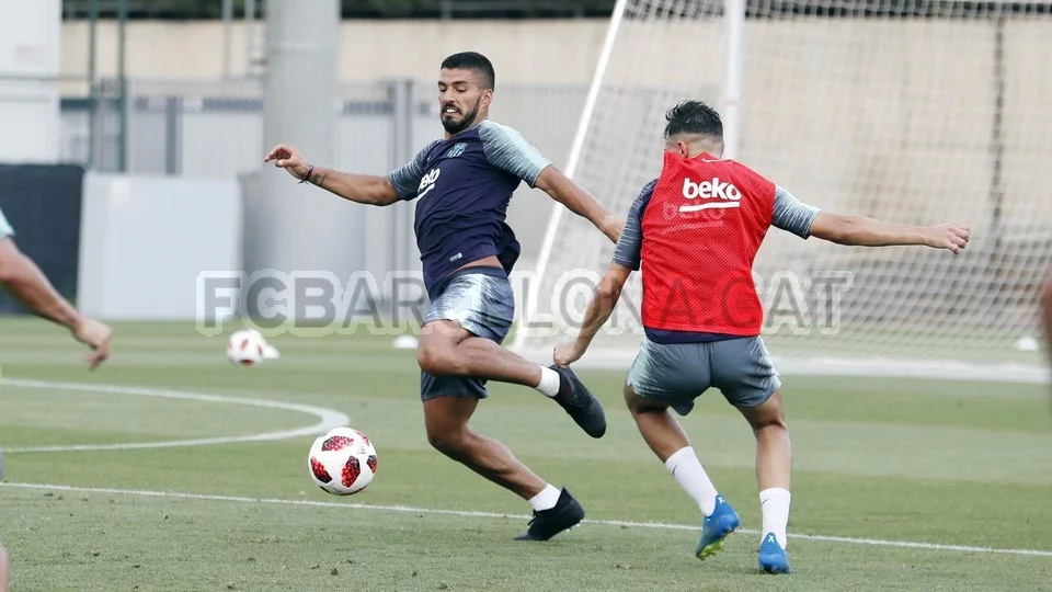 post card Post-Suarez-Puma-3.webp