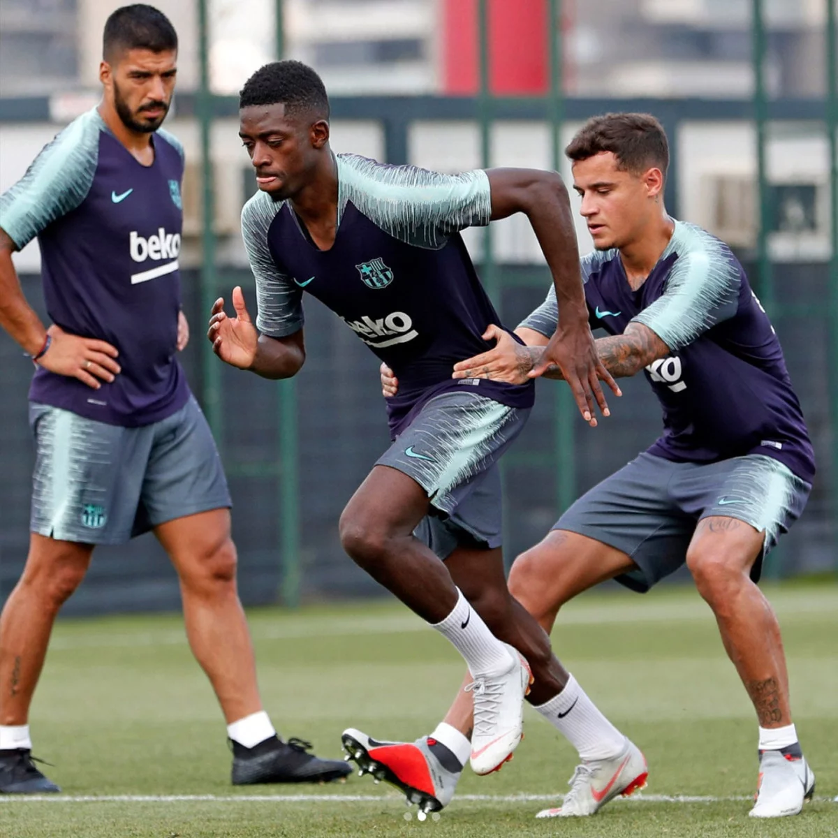 post card Post-Suarez-Puma-4.webp