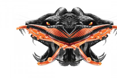 L'ÉVOLUTION DES NIKE HYPERVENOM