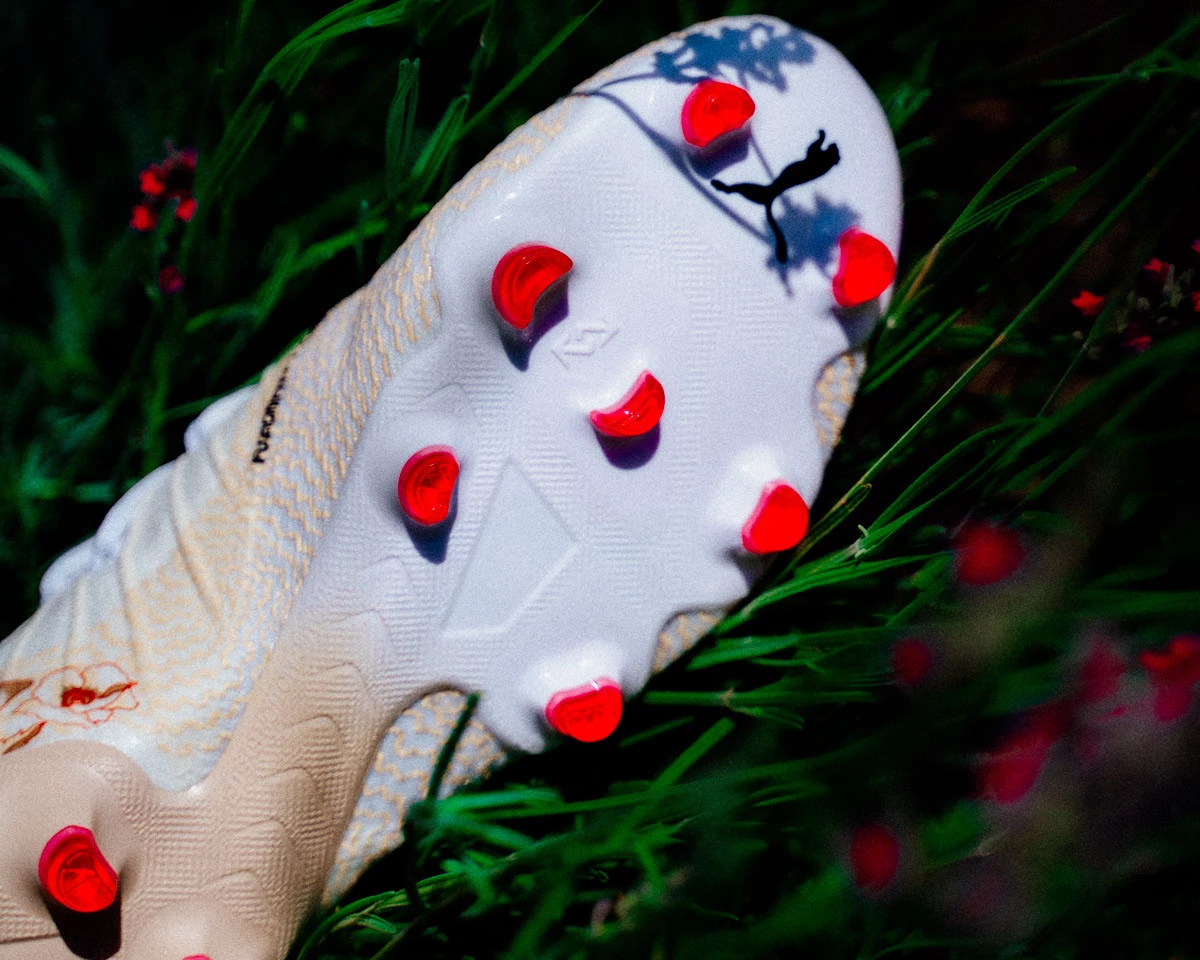 post card _DSC7709BLOG.webp