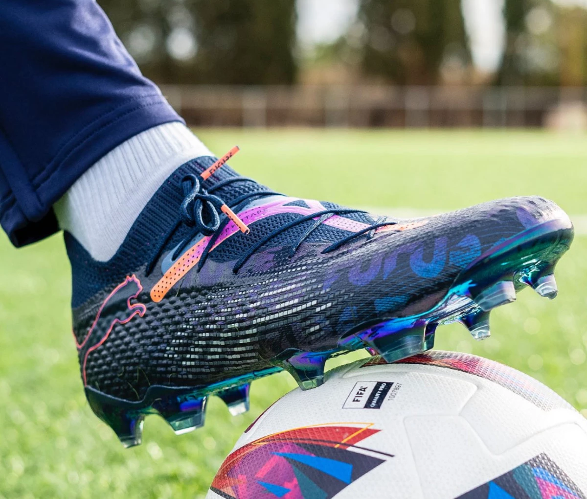 post card img7332jpg5.webp