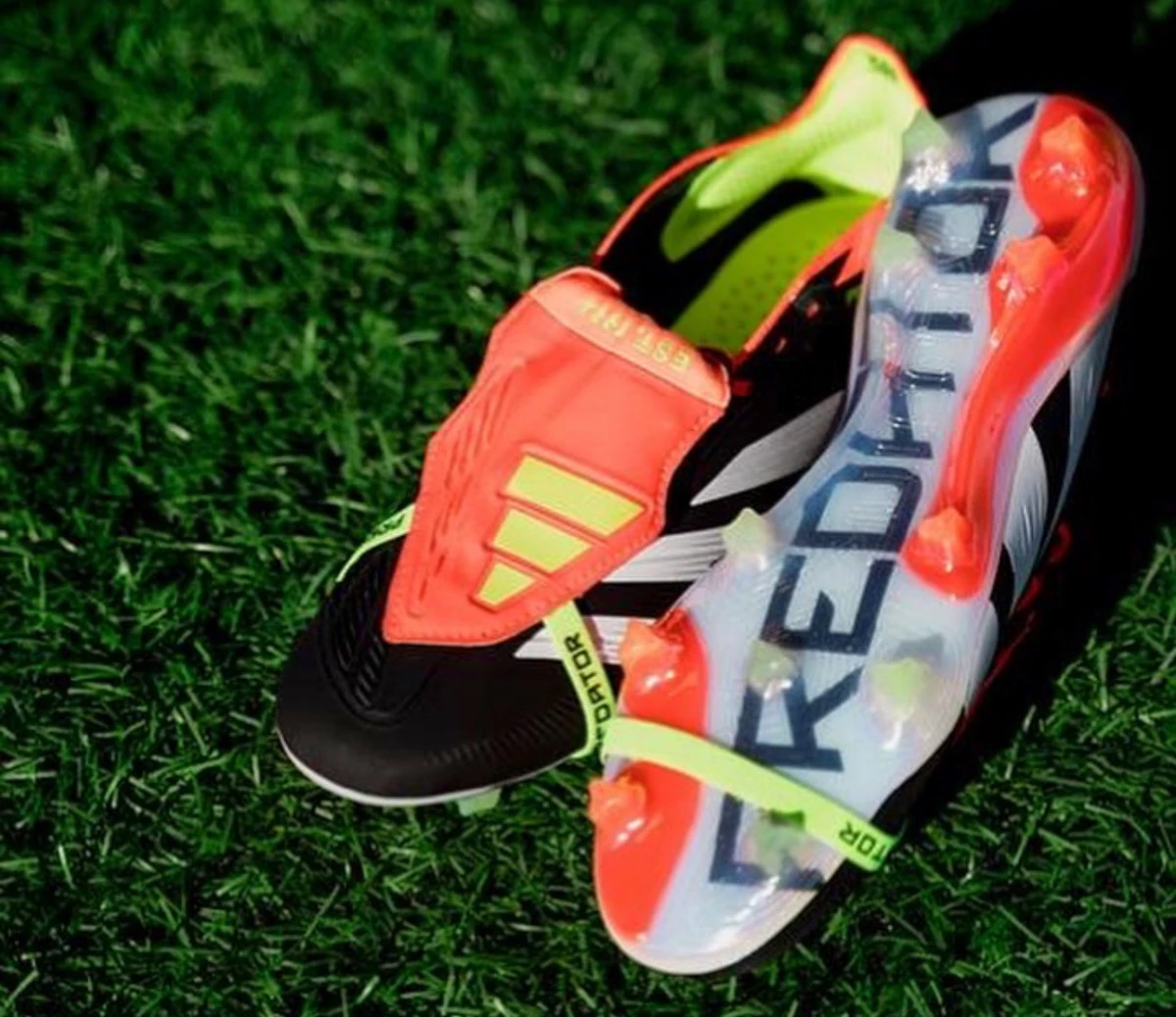 post card img7532jpg8.webp