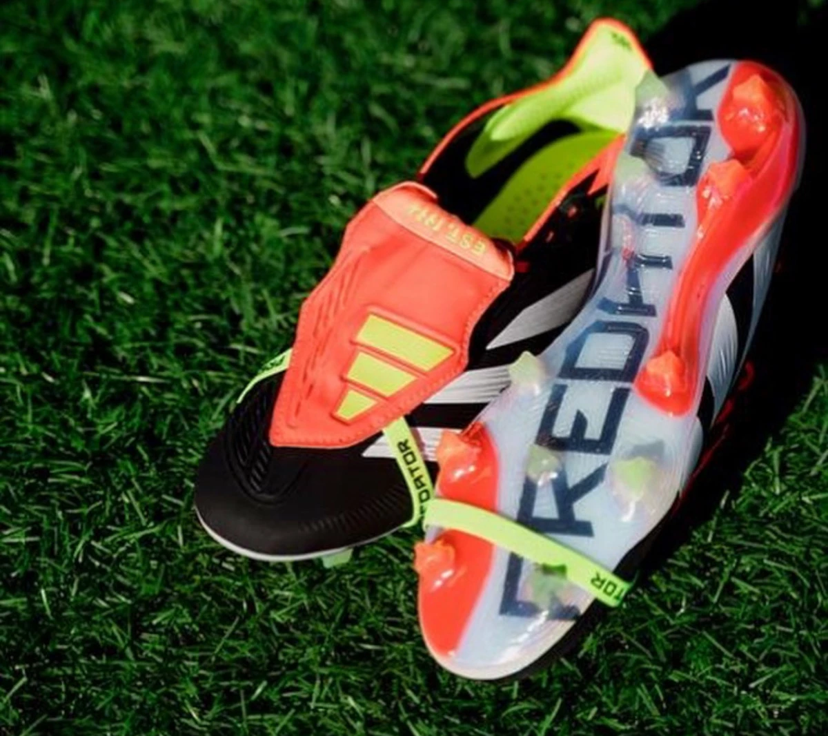 post card post-predator-vs-phantom-suela-predjpg5.webp