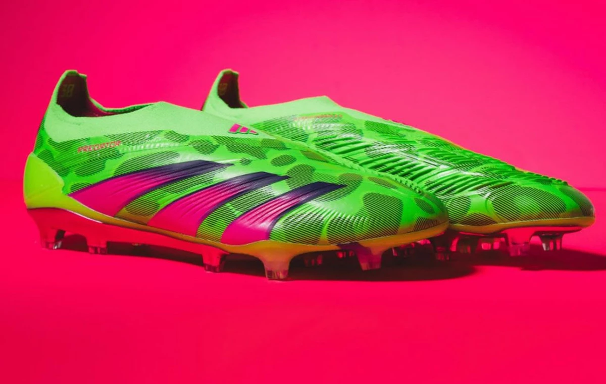 post card predator-generation-pred-bandsjpg1.webp