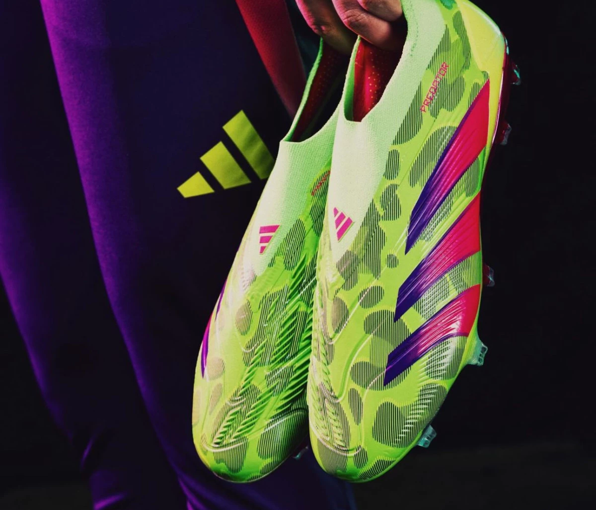 post card predator-generation-pred-fulljpg3.webp