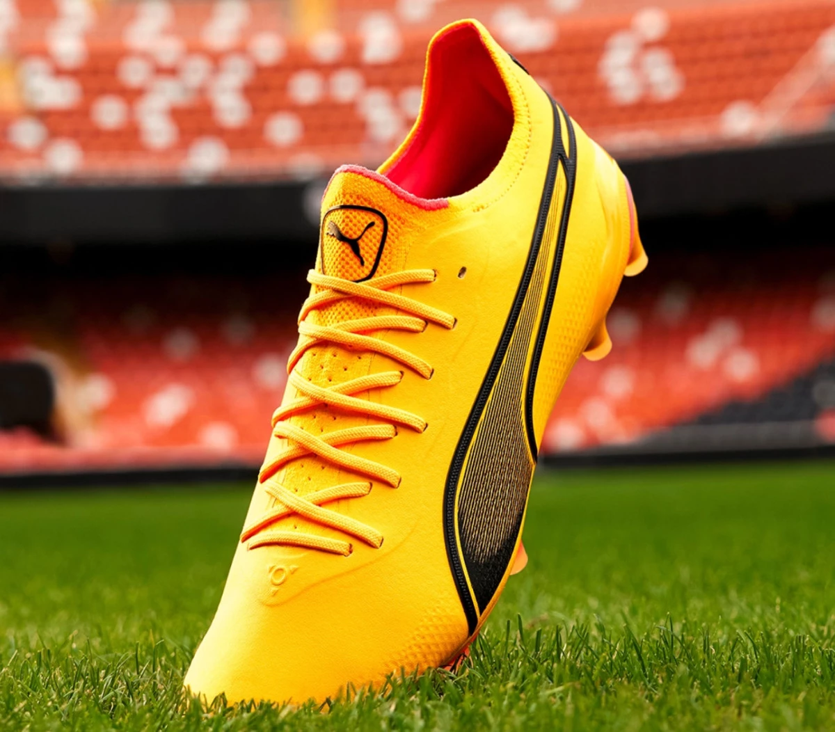 post card post-puma-porefer-faster-kingjpg4.webp