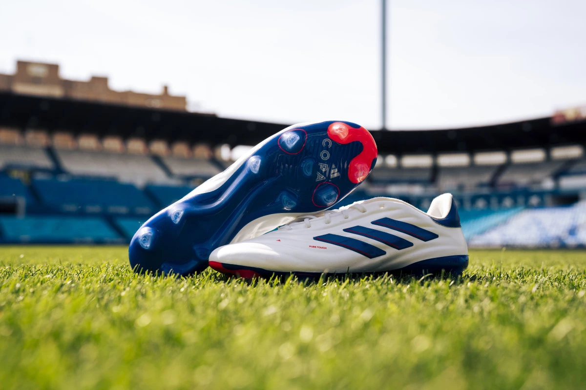 post card sej8621jpg3.webp