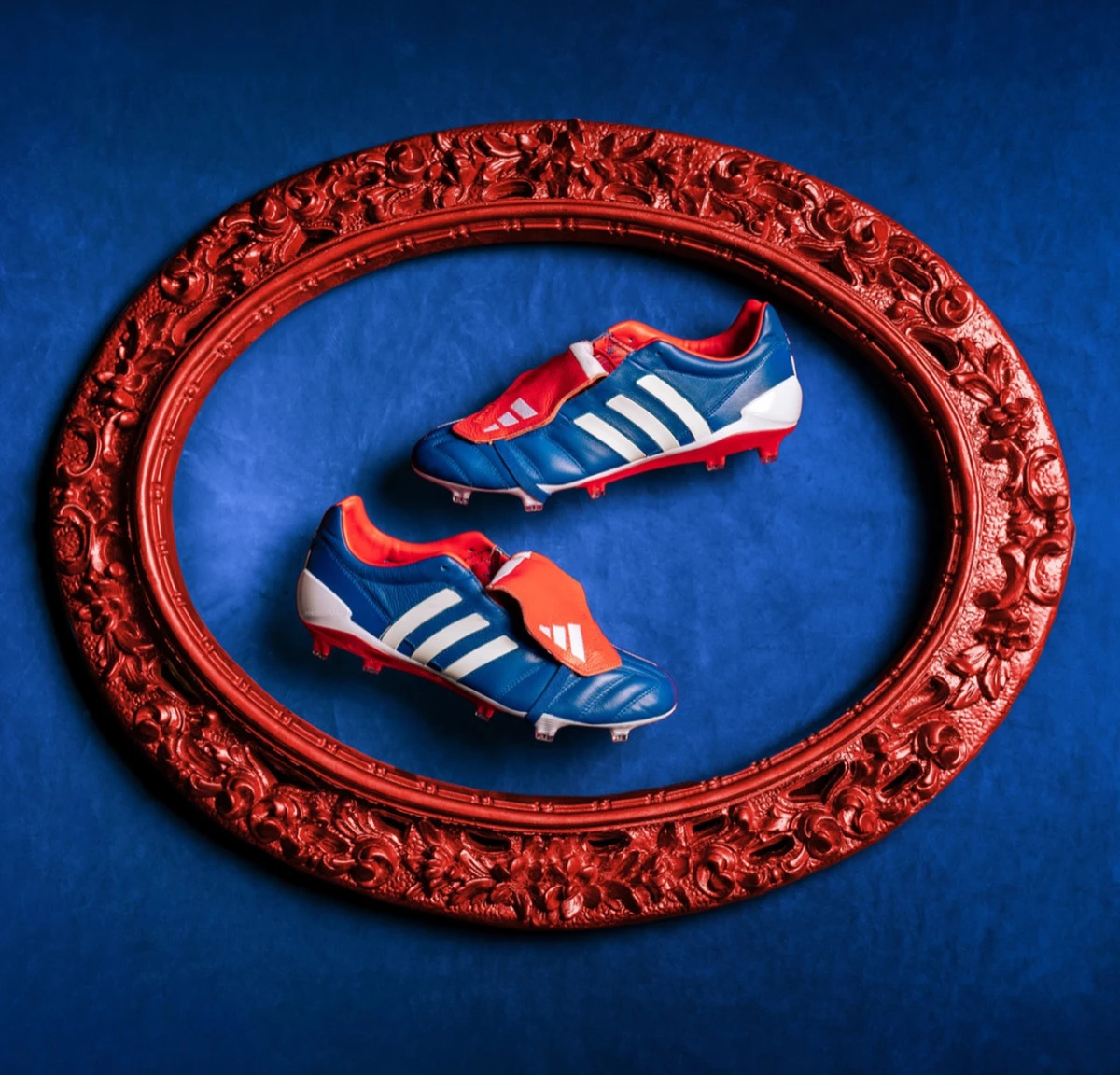 post card post-predator-mania-portjpg0.webp