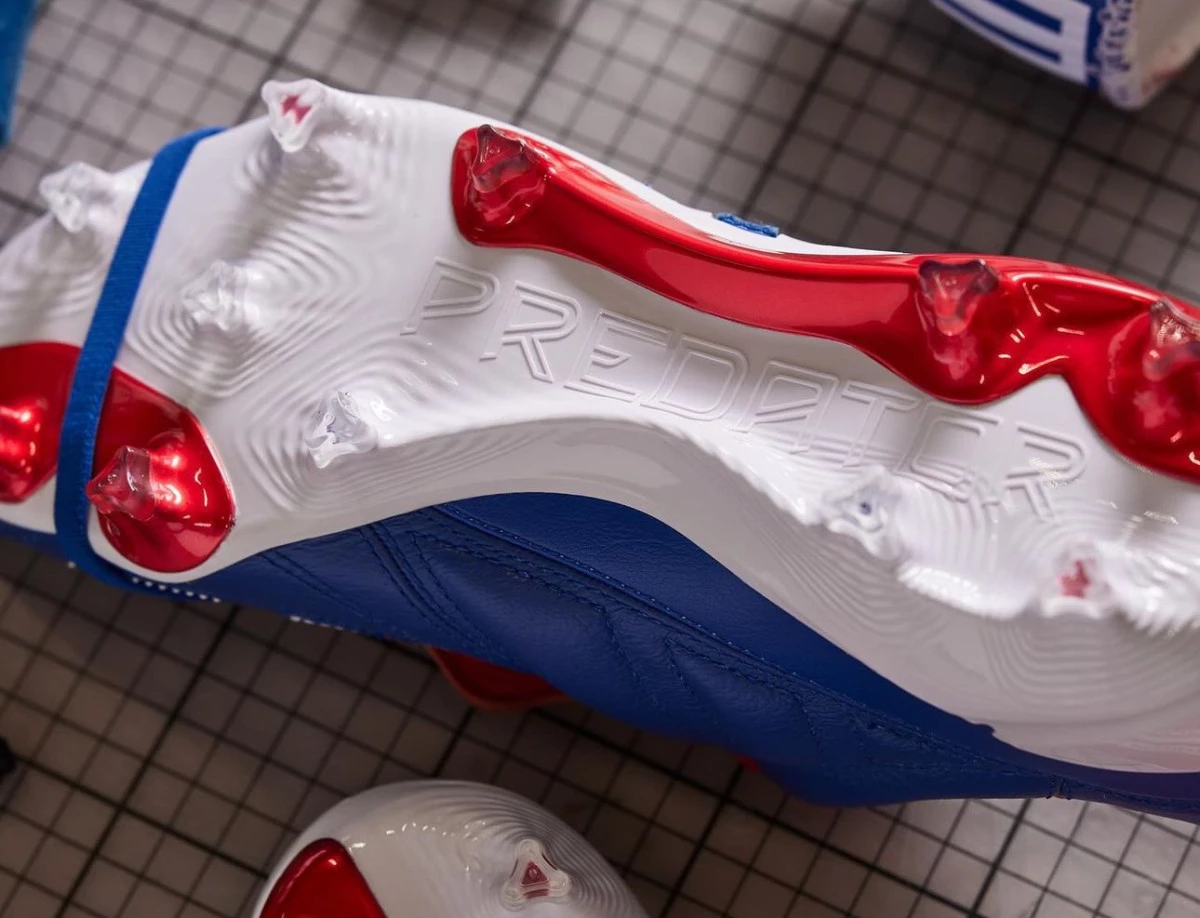 post card post-predator-mania-solejpg4.webp