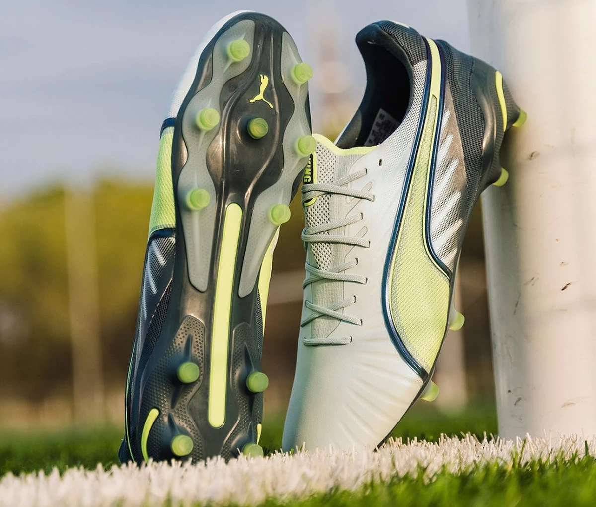 post card img1030jpg3.webp