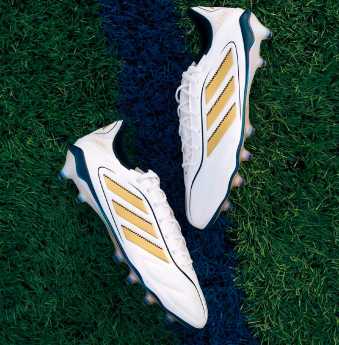 post card img2242jpg1.webp