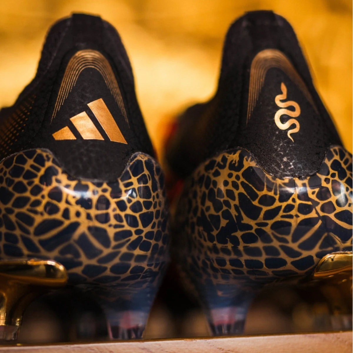 post card img3081jpg3.webp