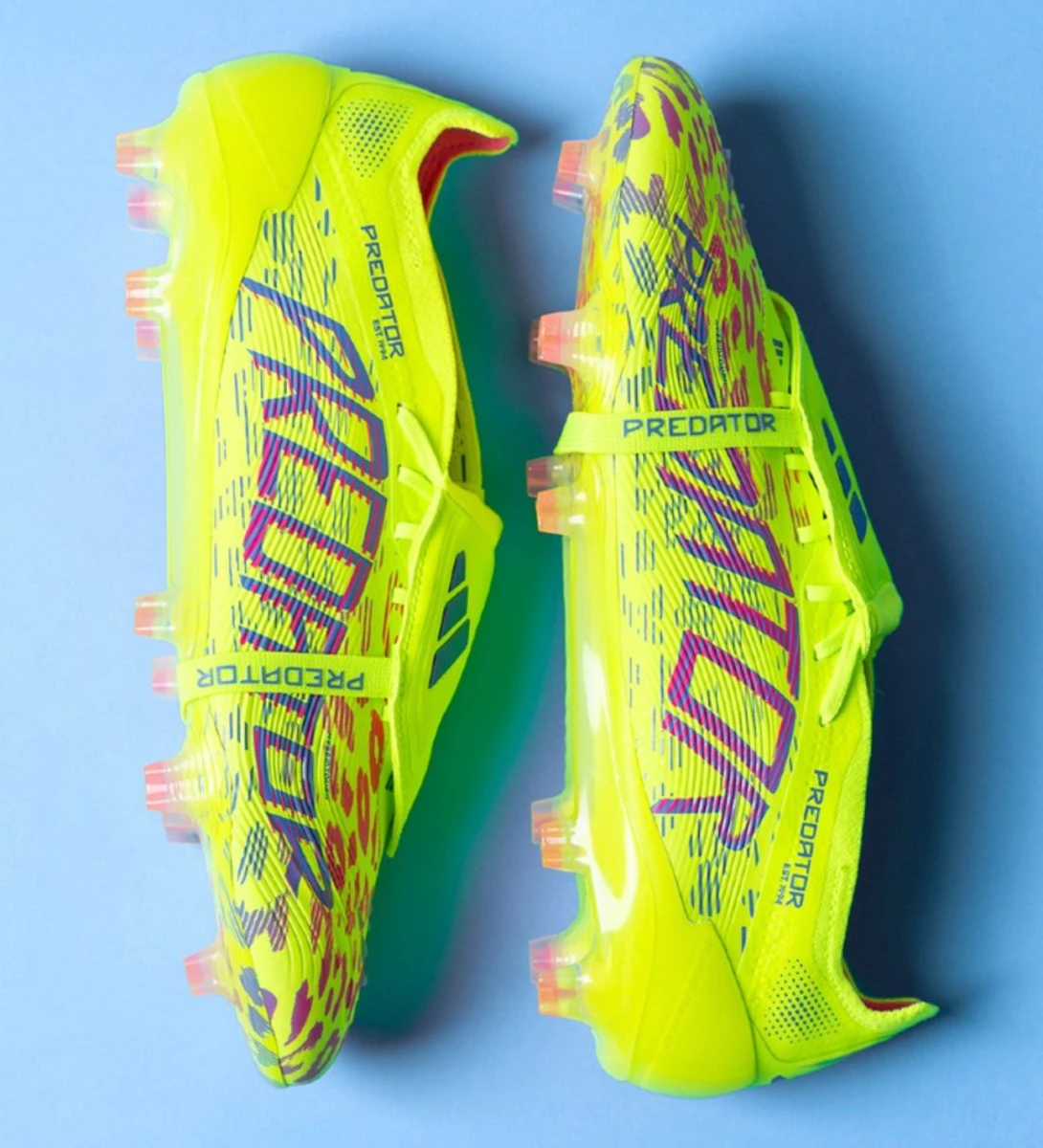 post card img3529jpg1.webp