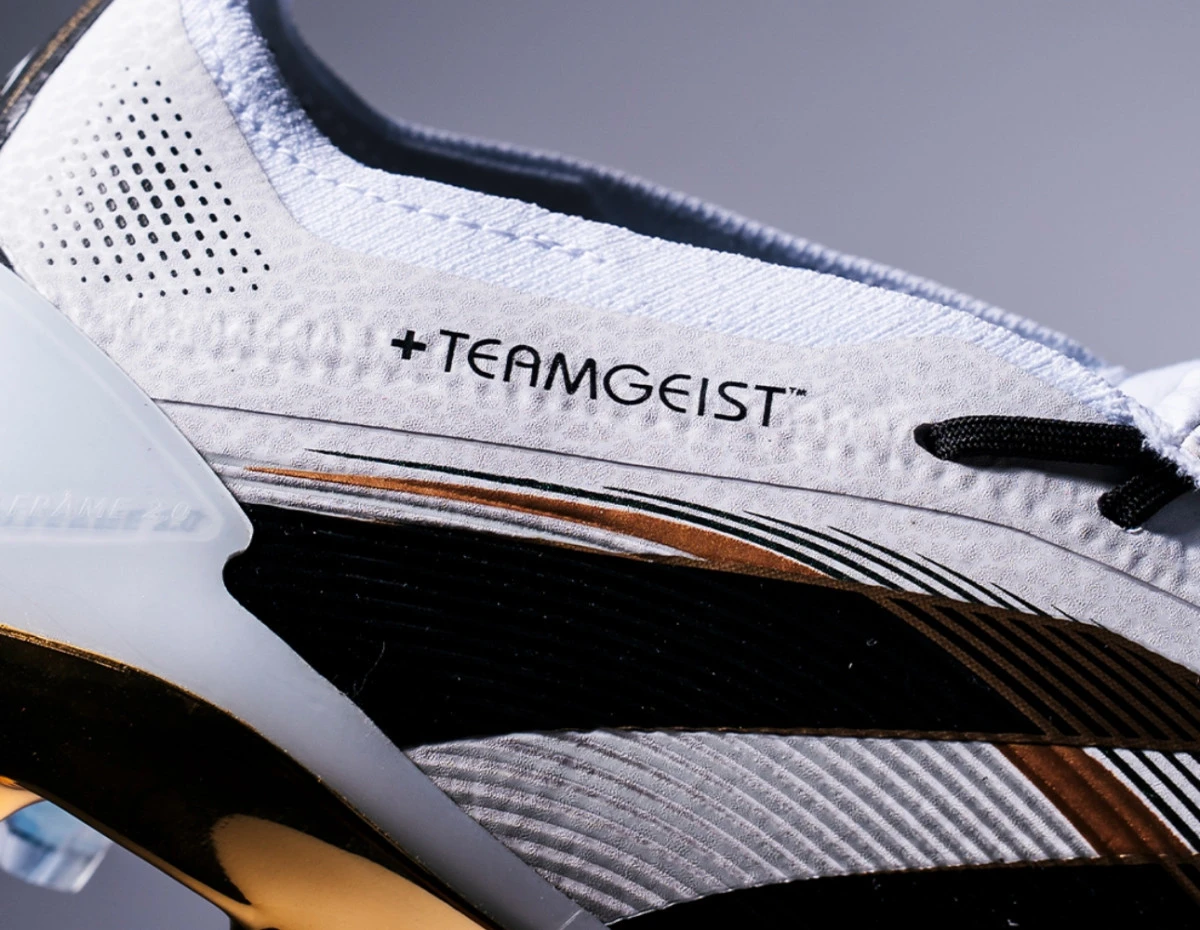 post card img3689jpg4.webp